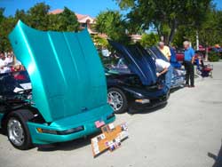 marco island, corvettes 
