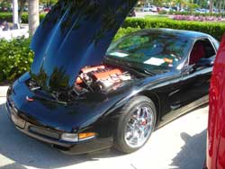 marco island, corvettes 