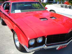 marco island, corvettes 