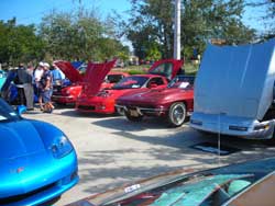 marco island, corvettes 