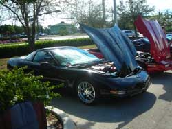 marco island, corvettes 