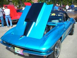 marco island, corvettes 