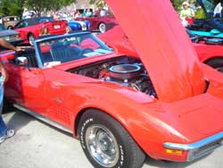marco island, corvettes 