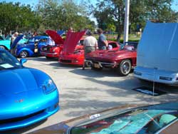 marco island, corvettes 