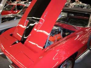 marco island, corvettes 